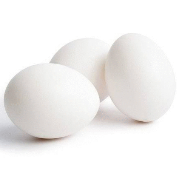 10 Egg (White broiler egg)