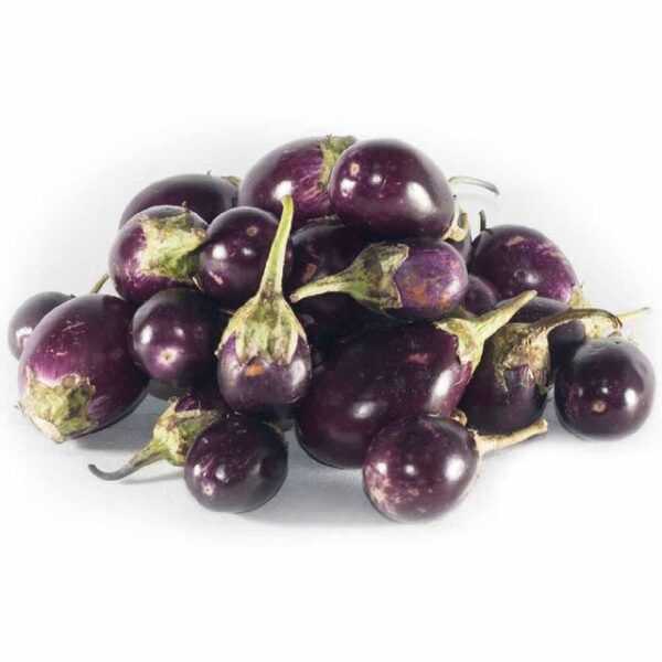Brinjal