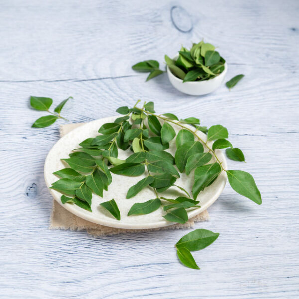 Curry Leaves